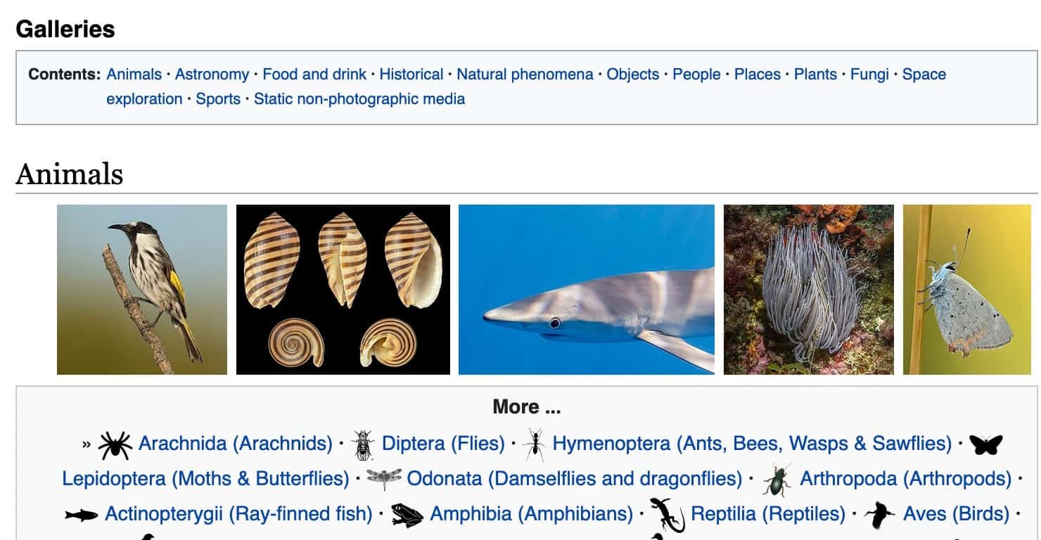 wikipedia featured pictures